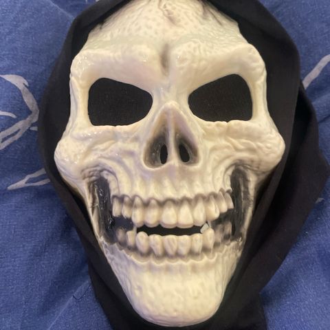 Fin og skummel maske til Halloween perfekt til dere som ikke har en maske