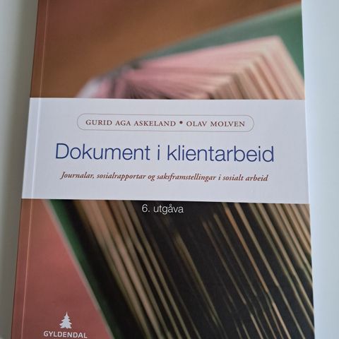 Dokument i klientarbeid