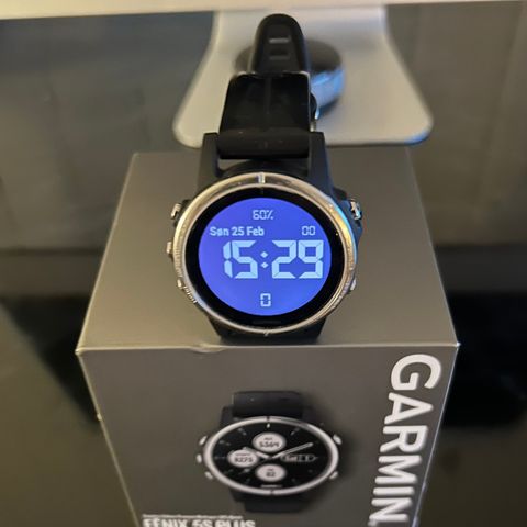 Garmin Fenix 5S (42mm)