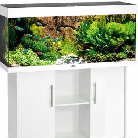 240l juwel akvarium selges