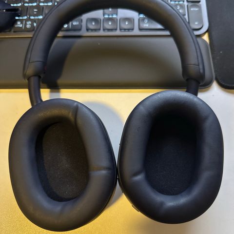 Sony WH1000XM5