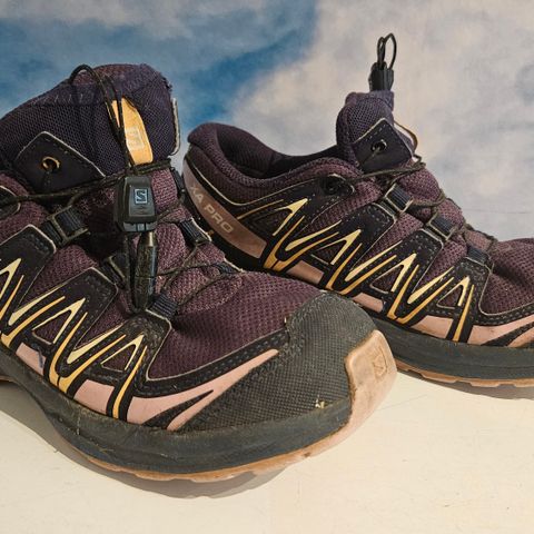 Salomon Goretex sko str 36