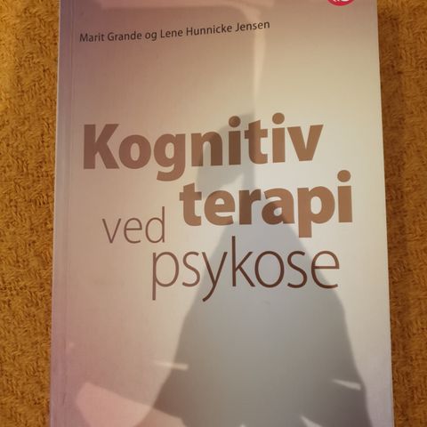 Kognitiv terapi ved psykose