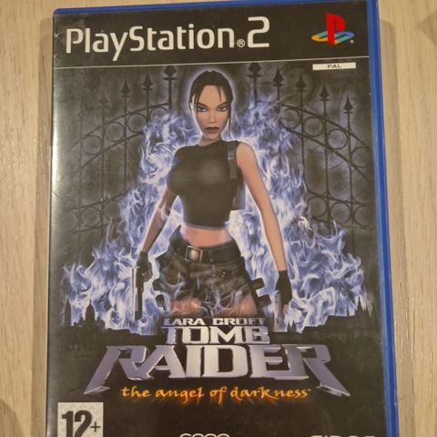 Lara Croft Tomb Raider The Angel of Darkness