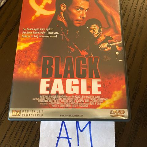 Black eagle