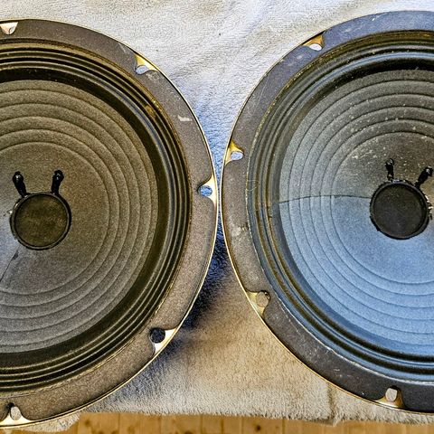 Fender cts ceramic speakers 10"