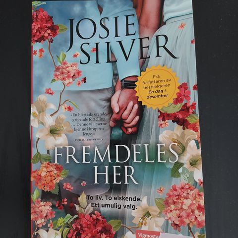 Josie Silver - Fremdeles her