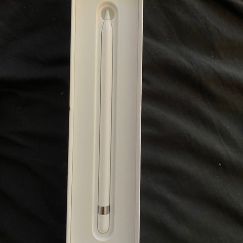 Apple Pencil (1 Gen)