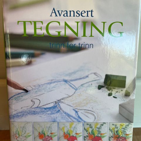 Avansert tegning - trinn for trinn