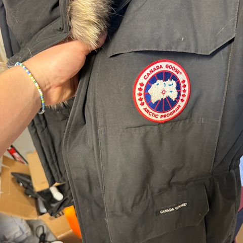 Canada goose expedition