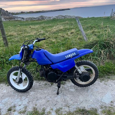 Pw 50