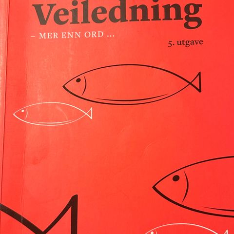 Veiledning - mer enn ord. Sissel Tveiten