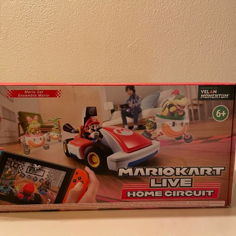 Mariokart live home circuit