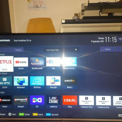 49 tommer grundig smart tv