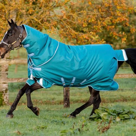 Horseware Amigo Bravo Plus Heavy 400 vinterdekken