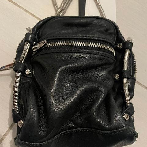 Alexander Wang "camera Bag"