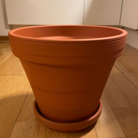 Terracotta potte stor (reservert)