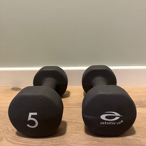 Abilica 5kg Dumbbells x 2