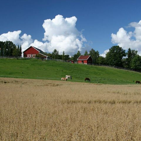 To utebokser/ utegangsplasser ledig i Sandefjord.