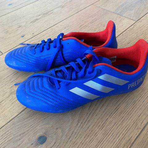 Adidas Predator str 38, 200kr