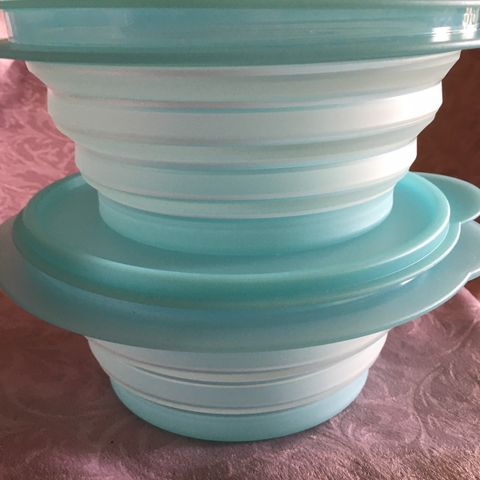 Tupperware Mini Max