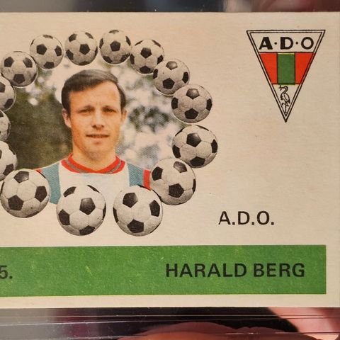 Harald «Dutte» Berg