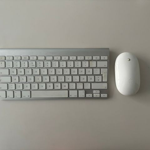 Mus og tastatur - Apple