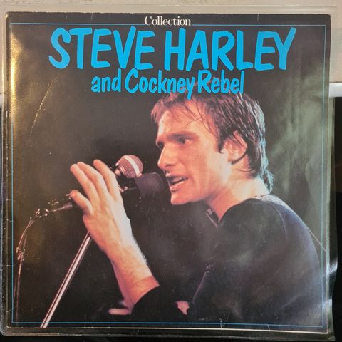 Steve Harley and cockney rebel