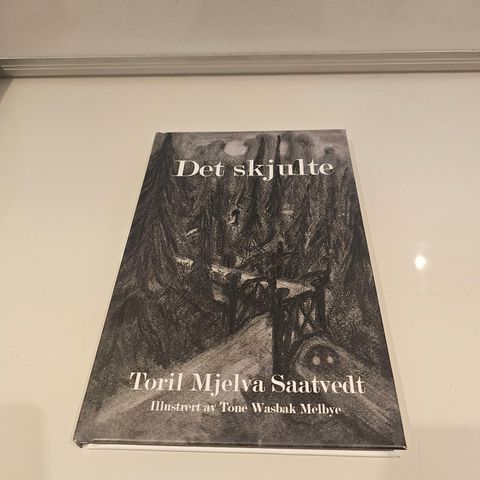 Det skjulte. Toril Mjelva Saatvedt