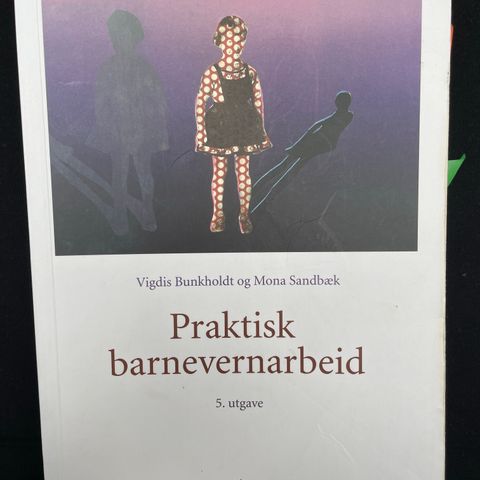 Vigdis Bunkholdt og Mona Sandbæk - praktisk barnevernsarbeid