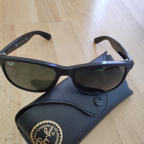 Ray-Ban solbriller  RB4202