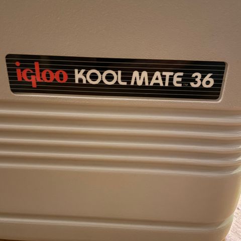 Igloo kool mate 36 kjøle-/varmeboks