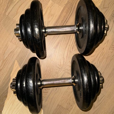 Justerbare manualer opp til 20kg x 2