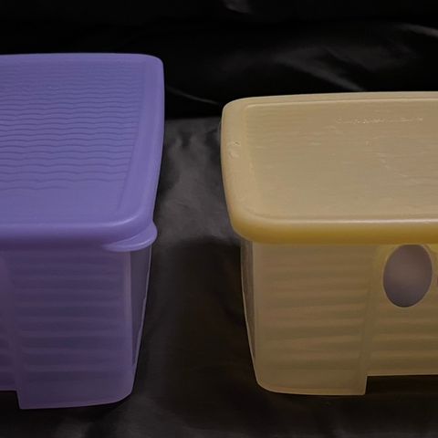 Tupperware fridgesmart