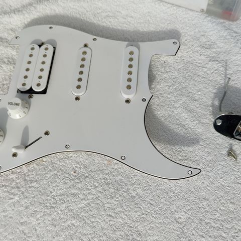 Loaded pick guard HSS