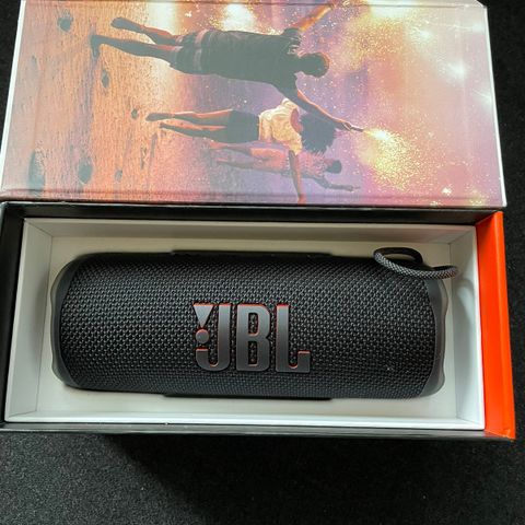 JBL Flip 6