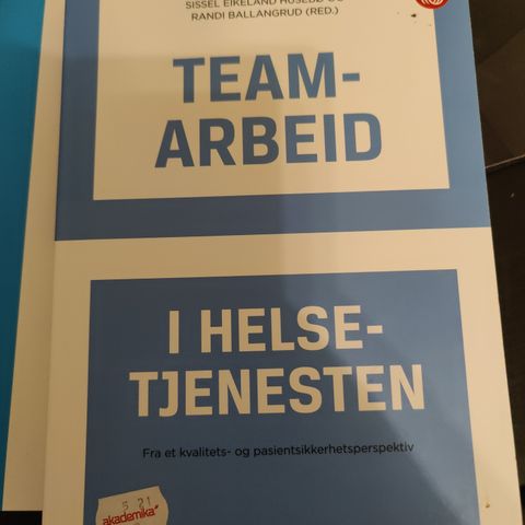 Teamarbeid i helsetjenesten (Sissel Husebø og Randi Ballangrud)