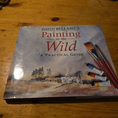 David Bellamy's - Painting in the Wild