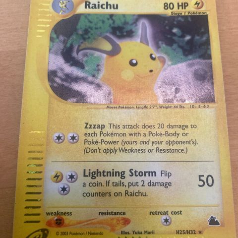 Raichu H25/H32 e-reader holo (skyridge)