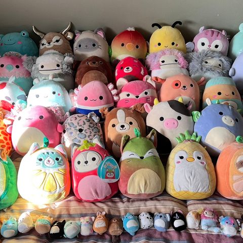 Gigantisk Squishmallow samling selges