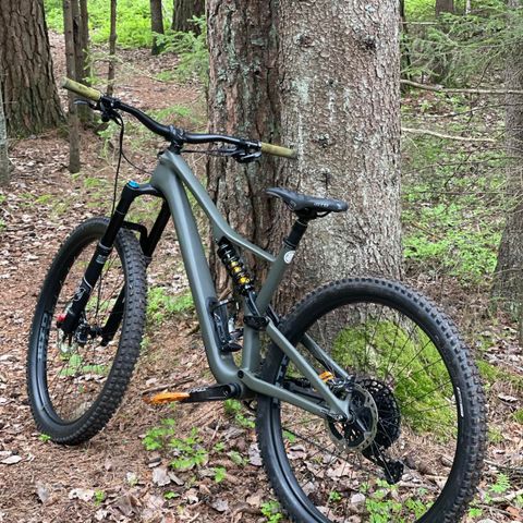 Stumpjumper Comp Carbon 29 - 12-speed  Large -2019 mod