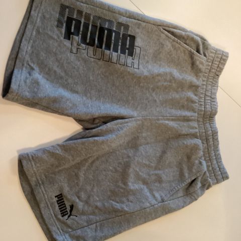 Puma shorts, str m