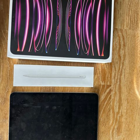 iPad pro - 11 inch (4th generation) wifi + cellular, med Apple Pencil