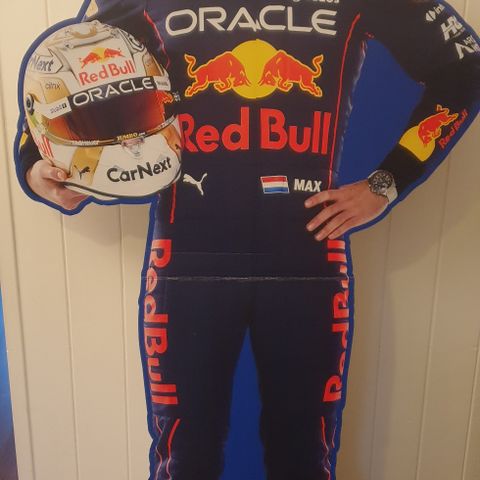 Max Verstappen cutout