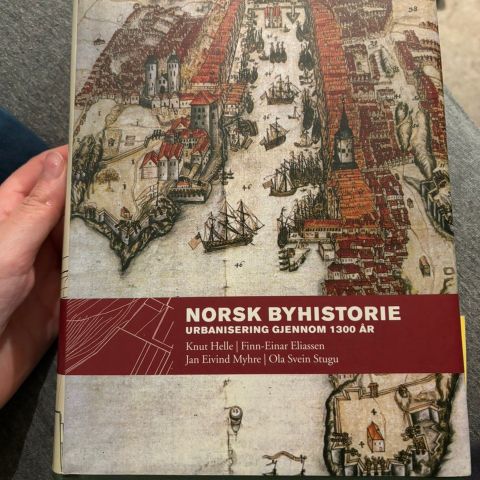 Norsk byhistorie- urbanisering gjennom 1300 år