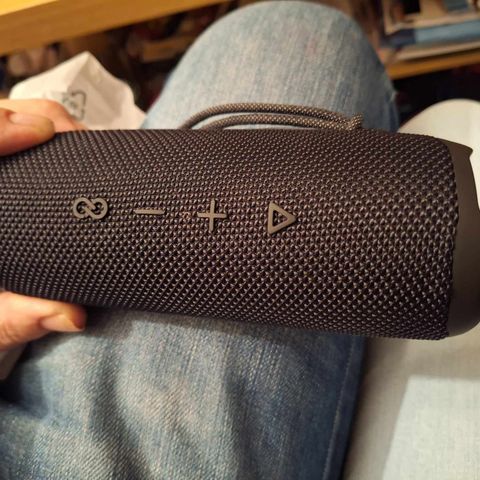 JBL FLIP 6