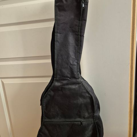 Gitar bag