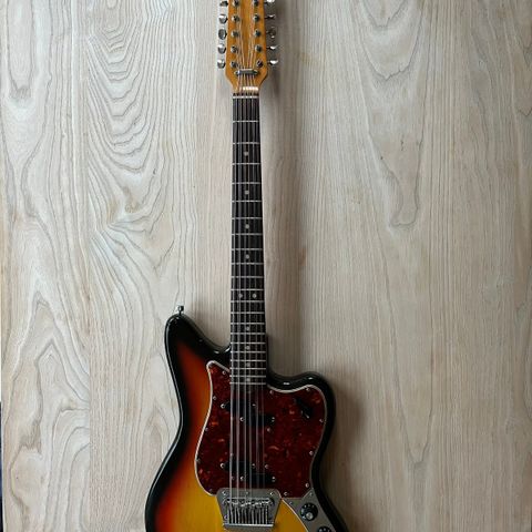 Fender Electric XII 1965