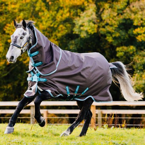 Horseware Amigo Bravo 12 Plus 250 - RESERVERT TIL 19/9