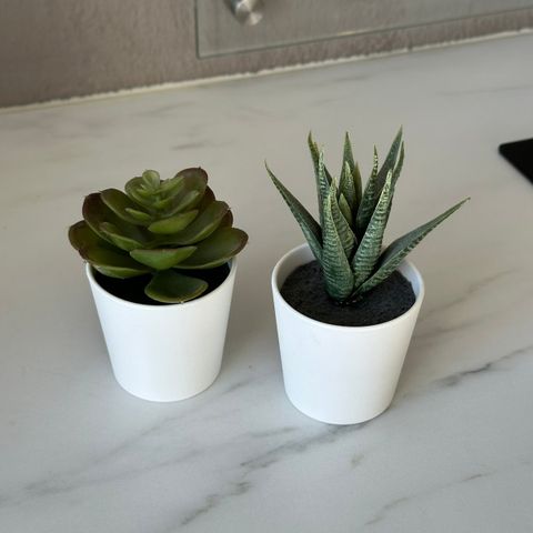 To små kunstige planter fra Ikea